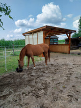 Lade das Bild in den Galerie-Viewer, Weidehütte Unterstand
